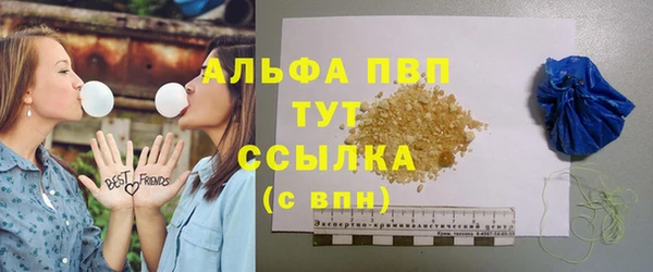 гашик Белокуриха