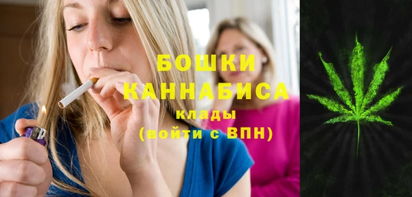 гашик Белокуриха