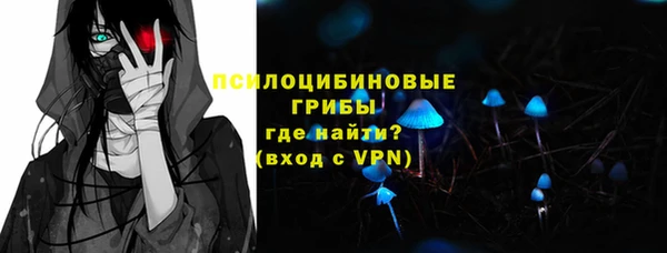 гашик Белокуриха