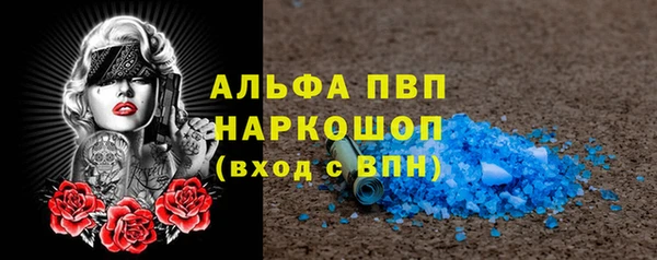гашик Белокуриха