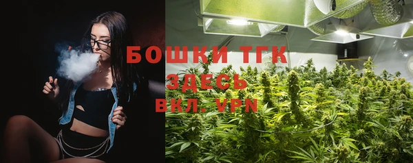 гашик Белокуриха