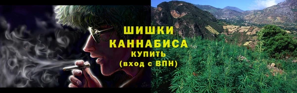 гашик Белокуриха