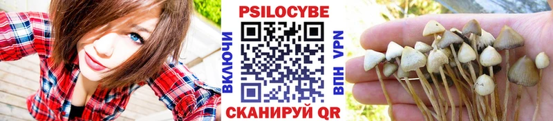 Галлюциногенные грибы прущие грибы  Горячий Ключ 