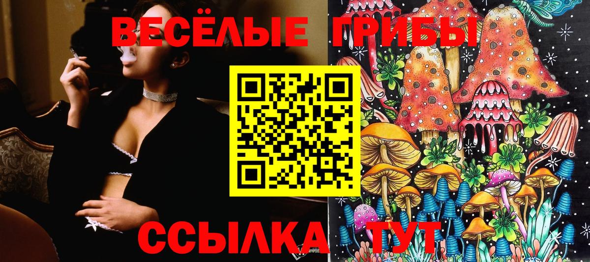 купить наркотик  Горячий Ключ  Псилоцибиновые грибы Cubensis 