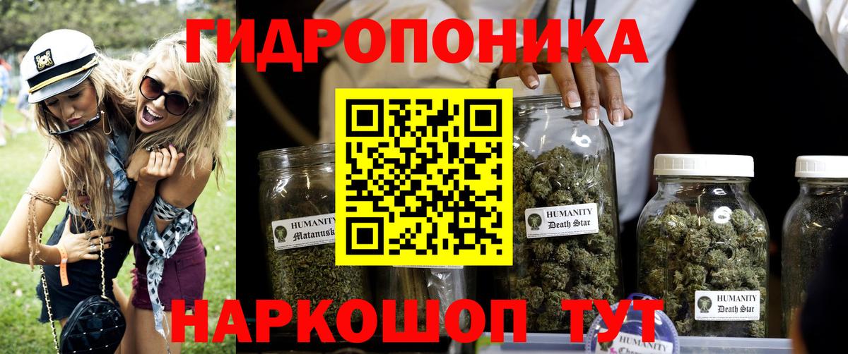 Бошки марихуана Amnesia  Каннабис семена  Марихуана ГИДРОПОН  Горячий Ключ  Вход с VPN 